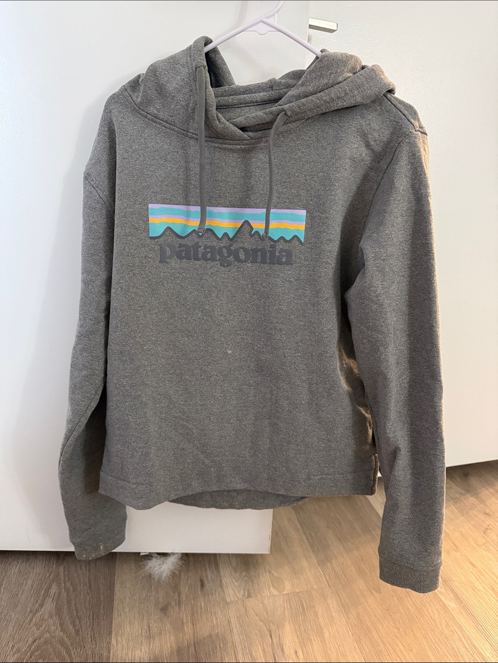 Patagonia Gray Crewneck Hoodie with Multicolor Stripe Logo
